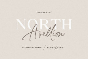 North Avellion Duo: A Font Combo That Elevates Web Design