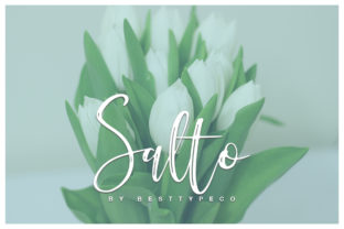 Salto: A Script Font That Elevates Your Brand’s Personality