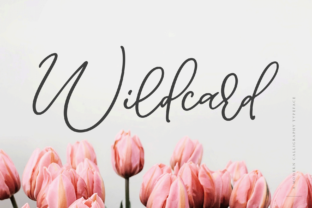 Wildcard: A Bold Script Font for Creative Projects